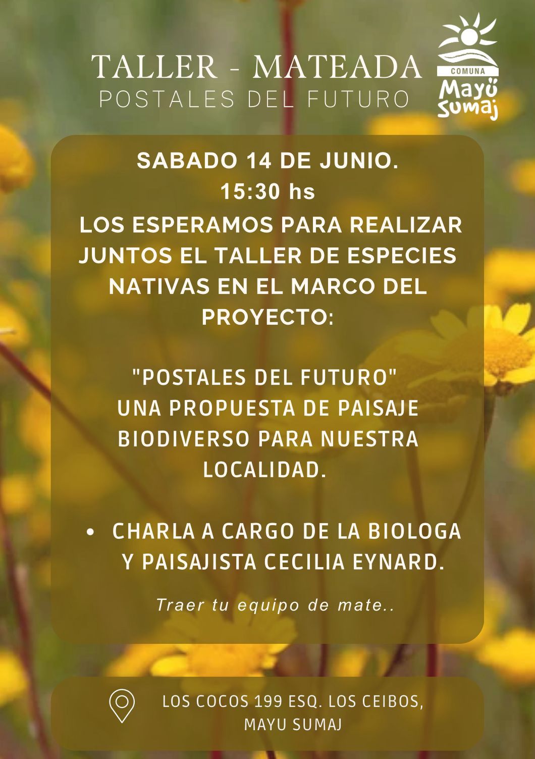 Imagen